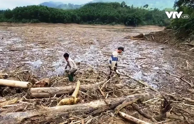 Bất chấp nguy hiểm, người dân vẫn tranh thủ vớt gỗ, đánh cá trong mùa lũ - Ảnh 1. Bất chấp nguy hiểm, người dân vẫn tranh thủ vớt gỗ, đánh cá trong mùa lũ - Ảnh 1.
