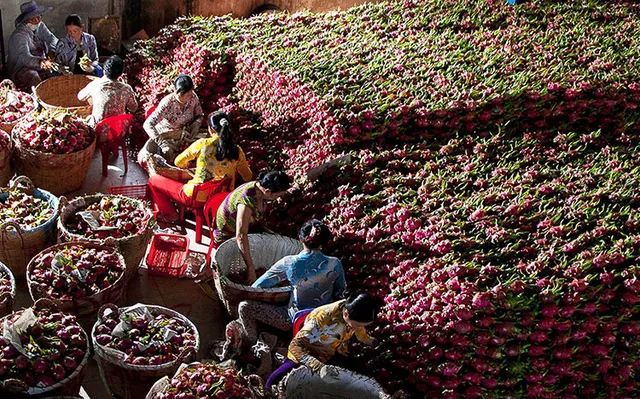 Cơ hội cho hàng dệt may, nông sản... từ RCEP - Ảnh 1.