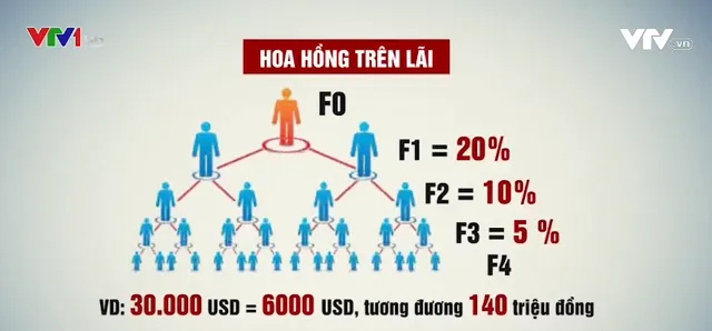 Sự thật đằng sau gói đầu tư ngồi chơi, lấy lãi của King of Invest? - Ảnh 1.