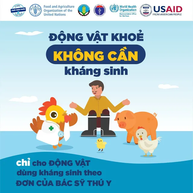 Sử dụng kháng sinh có trách nhiệm - Ảnh 1.