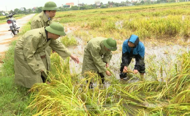 Đưa nông sản đồng bằng vào chuỗi giá trị toàn cầu - Ảnh 1.