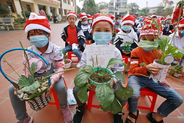 Trao giải Lễ hội đổi cây, bảo vệ gấu theo chủ đề Giáng sinh - Ảnh 5. Trao giải Lễ hội đổi cây, bảo vệ gấu theo chủ đề Giáng sinh - Ảnh 5.