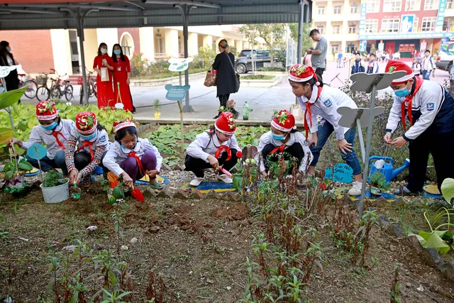 Trao giải Lễ hội đổi cây, bảo vệ gấu theo chủ đề Giáng sinh - Ảnh 12. Trao giải Lễ hội đổi cây, bảo vệ gấu theo chủ đề Giáng sinh - Ảnh 12.