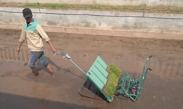 Muôn nẻo khó khăn trong hành trình đăng ký bản quyền sáng chế - Ảnh 1. Muôn nẻo khó khăn trong hành trình đăng ký bản quyền sáng chế - Ảnh 1.