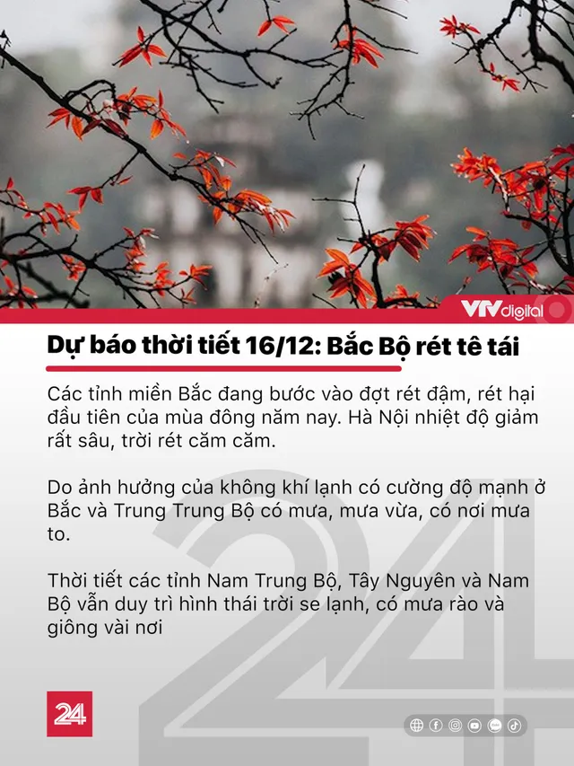 Tin nóng đầu ngày 16/12: Điều tra vụ người ngã xe thiệt mạng sau khi không ai giúp - Ảnh 6.