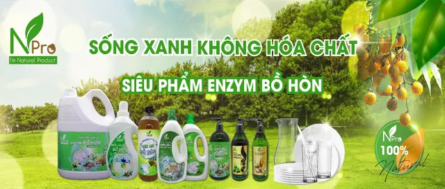 NPro - Khơi nguồn kiến tạo cuộc sống xanh, lan tỏa lối sống xanh không hóa chất - Ảnh 1.