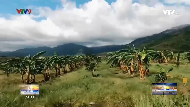 Một ngày ở The Moshav Farm.