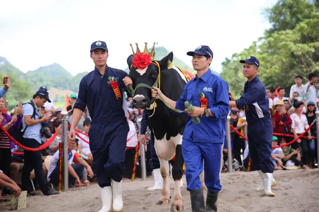 Mộc Châu Milk chính thức lên sàn UPCOM, quản trị công ty theo định hướng công khai, minh bạch - Ảnh 7.