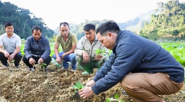 Sùng A Lầu - người gieo những mầm xanh trên đá - Ảnh 1.