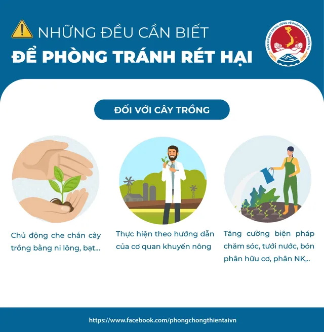 Những điều cần biết để phòng tránh rét hại - Ảnh 2.