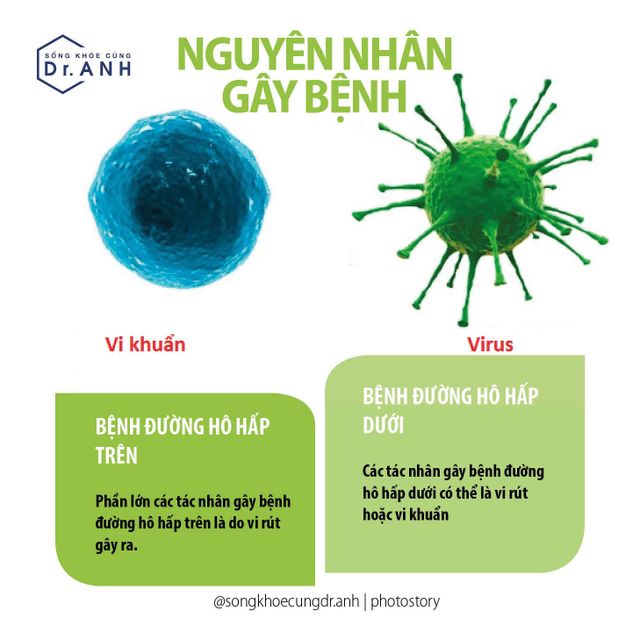 Bệnh lý đường hô hấp trên và dưới: Biết để phòng, điều trị hiệu quả - Ảnh 1.