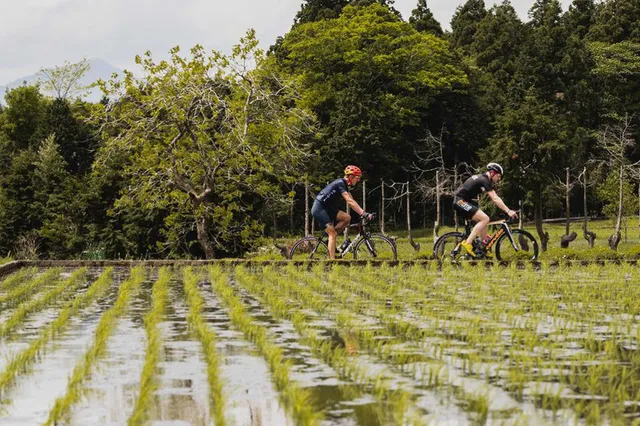 Khám phá vẻ đẹp nên thơ của Shizouka - quê hương núi Phú Sĩ - Ảnh 10.