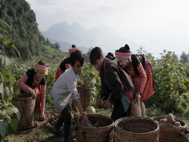 Rong sụn và sâm Fansipan - Thức uống hội tụ của rừng và biển - Ảnh 3.