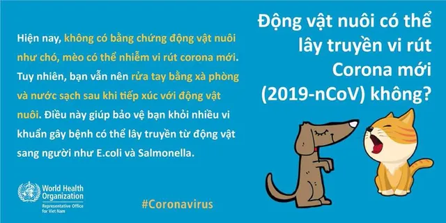 Virus nCoV 2019 nguy hiểm như thế nào? - Ảnh 2.