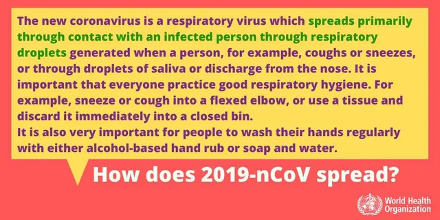 Virus nCoV 2019 nguy hiểm như thế nào? - Ảnh 6.