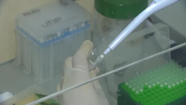 Bệnh viện Thái Lan mở dịch vụ xét nghiệm virus SARS-CoV-2 - Ảnh 1. Bệnh viện Thái Lan mở dịch vụ xét nghiệm virus SARS-CoV-2 - Ảnh 1.