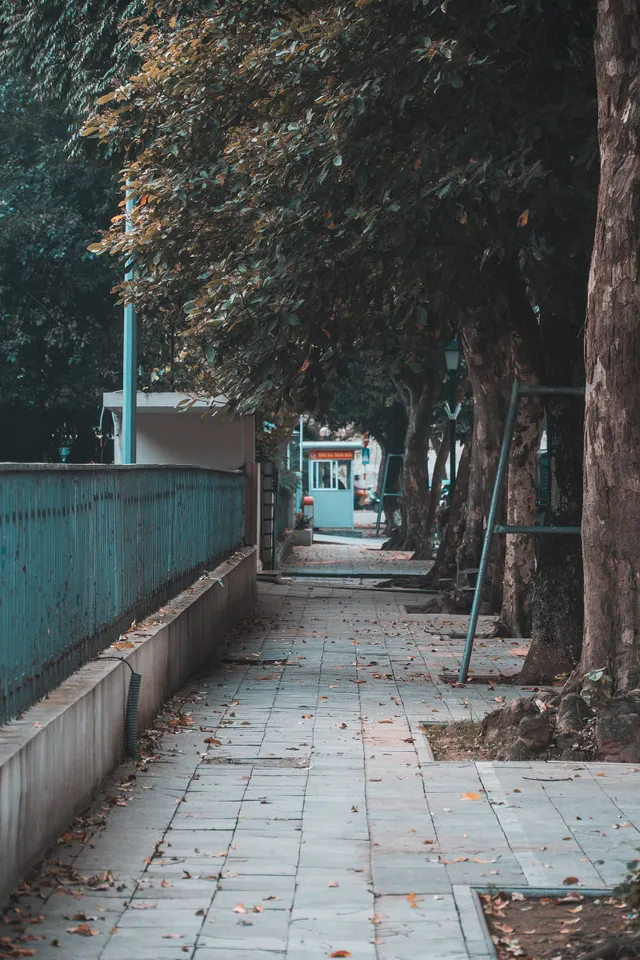 Hà Nội những ngày giãn cách xã hội: Lặng và đẹp! - Ảnh 17. Hà Nội những ngày giãn cách xã hội: Lặng và đẹp! - Ảnh 17.