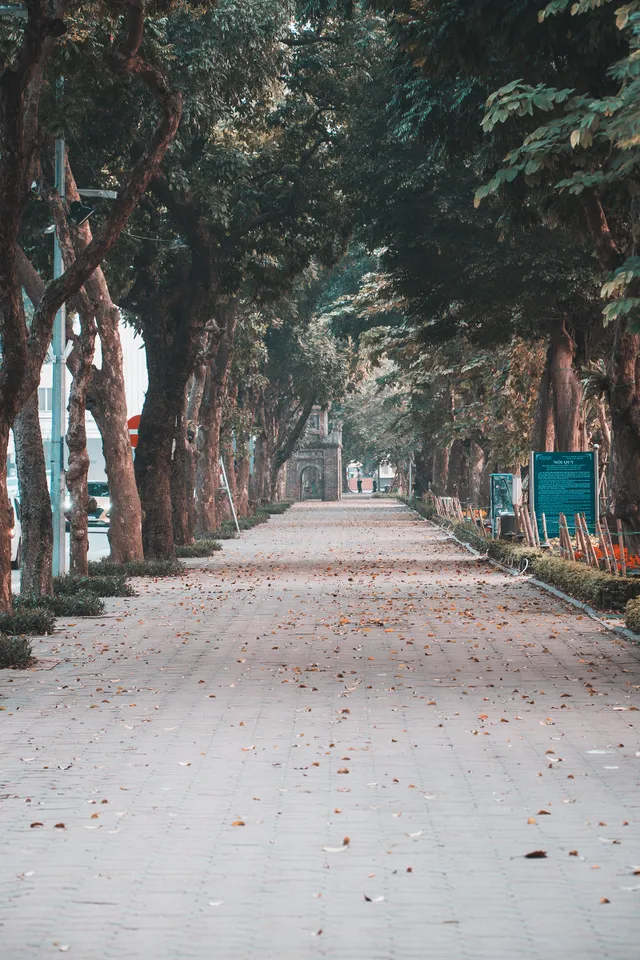 Hà Nội những ngày giãn cách xã hội: Lặng và đẹp! - Ảnh 20. Hà Nội những ngày giãn cách xã hội: Lặng và đẹp! - Ảnh 20.