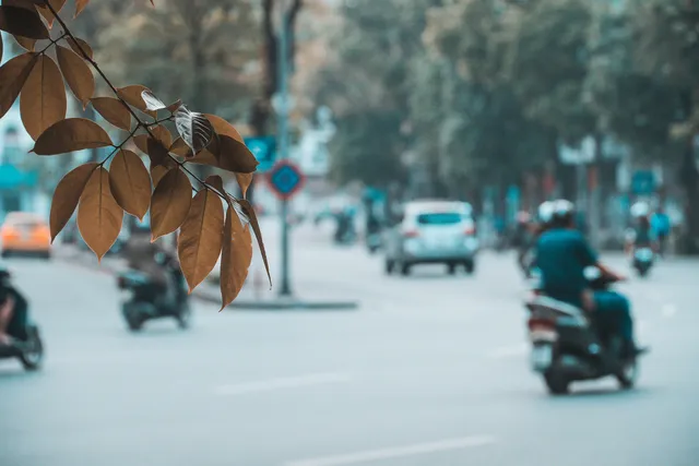 Hà Nội những ngày giãn cách xã hội: Lặng và đẹp! - Ảnh 24. Hà Nội những ngày giãn cách xã hội: Lặng và đẹp! - Ảnh 24.