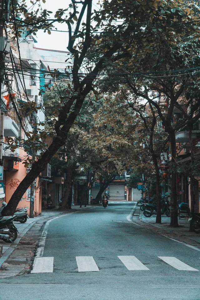 Hà Nội những ngày giãn cách xã hội: Lặng và đẹp! - Ảnh 2. Hà Nội những ngày giãn cách xã hội: Lặng và đẹp! - Ảnh 2.