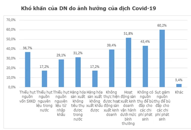 Đại dịch COVID-19: Doanh nghiệp đã vượt qua cú sốc thế nào? - Ảnh 2.