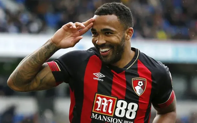 Callum Wilson-crop