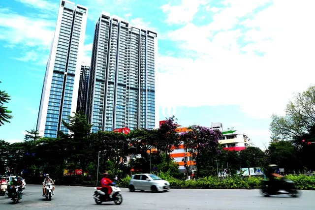 Ngắm bằng lăng khoe sắc rực rỡ đầu hè, rộn ràng từng góc phố - Ảnh 6. Ngắm bằng lăng khoe sắc rực rỡ đầu hè, rộn ràng từng góc phố - Ảnh 6.