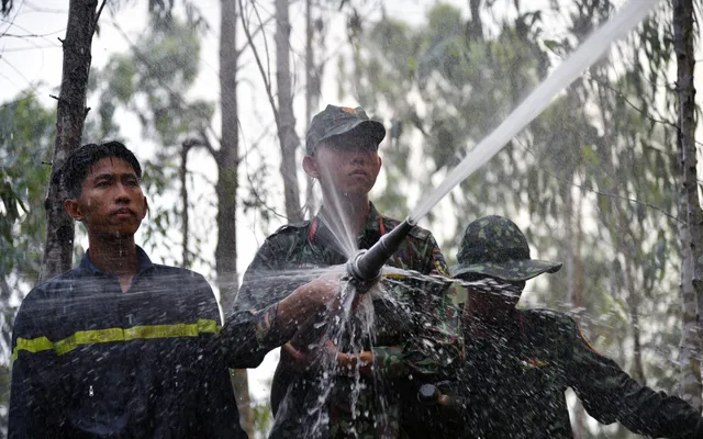 Hàng chục ha rừng tràm ở Kiên Giang bị bà hỏa thiêu rụi - Ảnh 2.