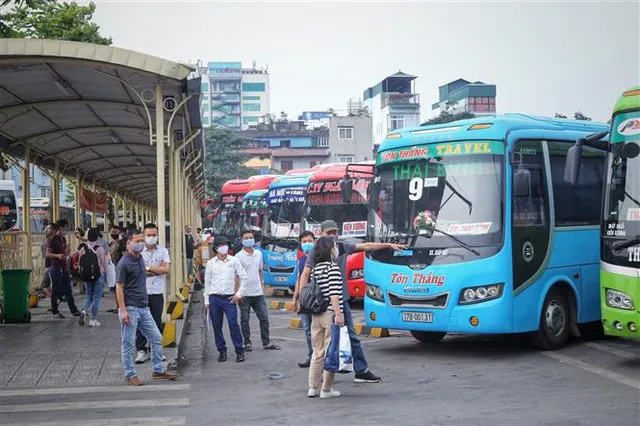 Giá xăng dầu xuống đáy, cước vận tải vẫn quyết án binh bất động - Ảnh 3.