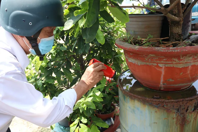 Thành phố Hồ Chí Minh: Cảnh báo dịch bệnh sốt xuất huyết vào mùa - Ảnh 1.