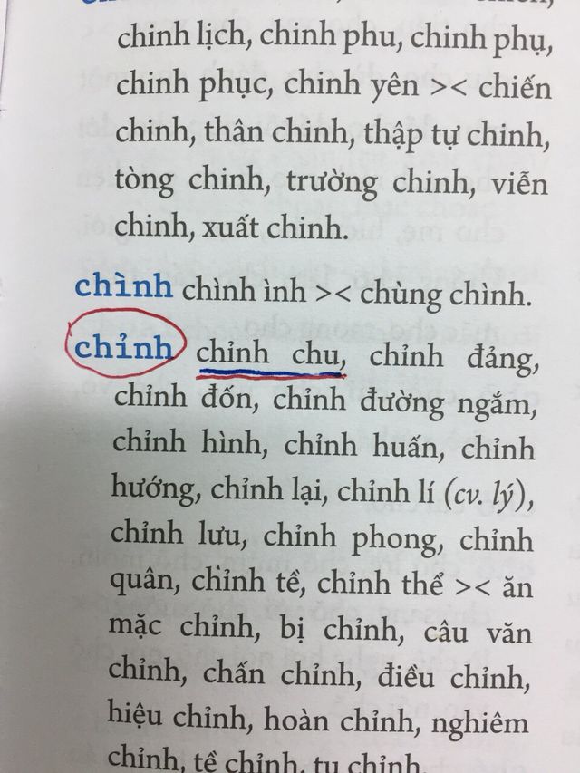 Từ điển chính tả thì vẫn có thể... mắc lỗi chính tả? - Ảnh 3.