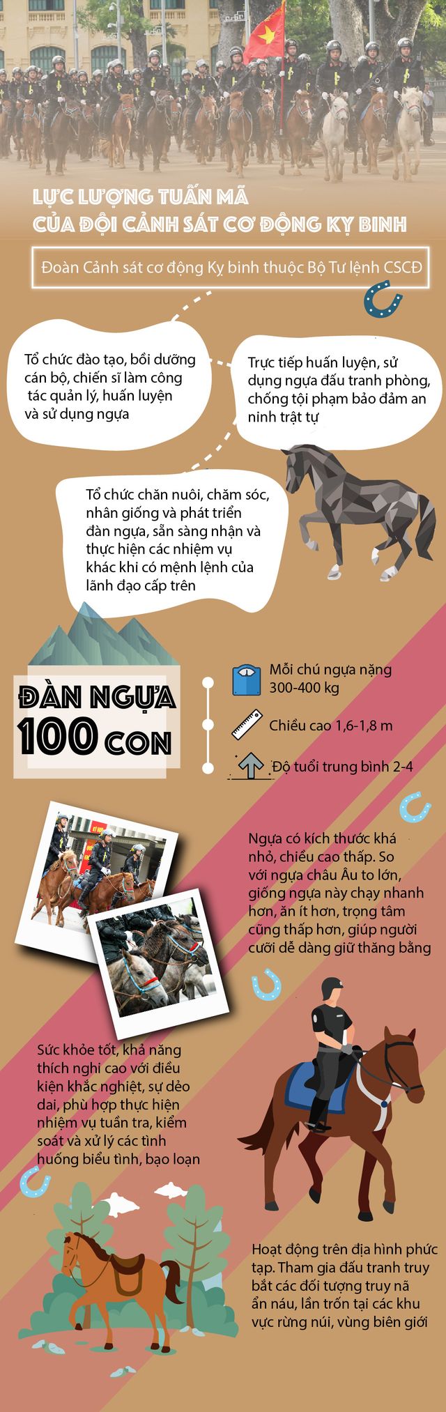 [Infographic] Những điều cần biết về tuấn mã của Đội CSCĐ Kỵ binh - Ảnh 1.