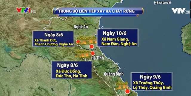 Liên tiếp cháy rừng do nắng nóng kéo dài - Ảnh 3.