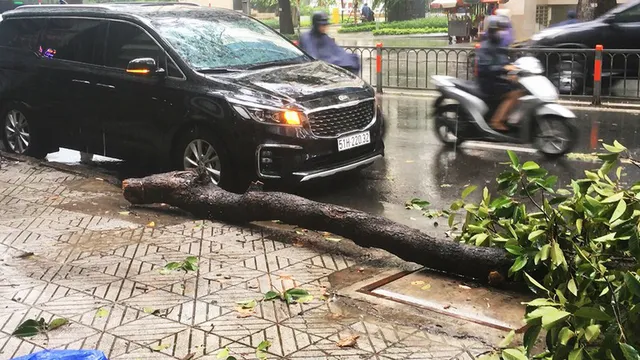 TP.HCM: Mưa lớn, nhiều tuyến đường ngập như sông, 4 người thương vong do cây đổ - Ảnh 2.