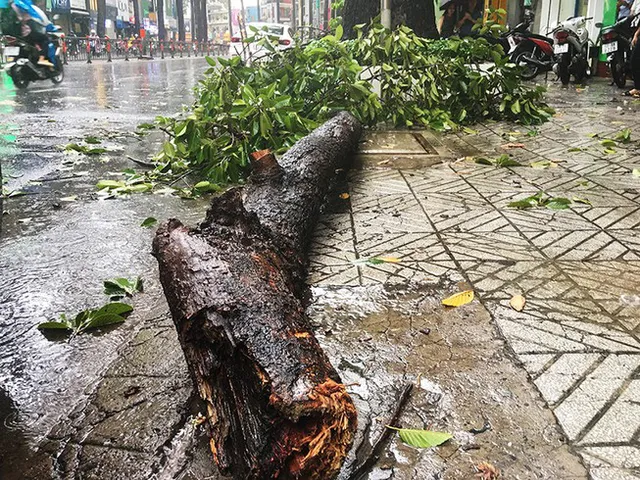 TP.HCM: Mưa lớn, nhiều tuyến đường ngập như sông, 4 người thương vong do cây đổ - Ảnh 1.