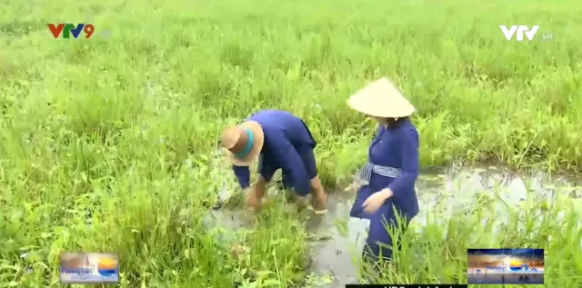 Một ngày làm nông dân đi khẩn hoang