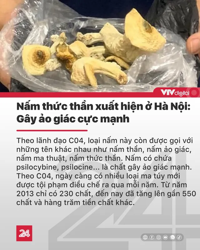 Tin nóng đầu ngày 19/6: Lời khai mới nhất của Triệu Quân Sự, cảnh báo bom gần cầu Long Biên - Ảnh 7.