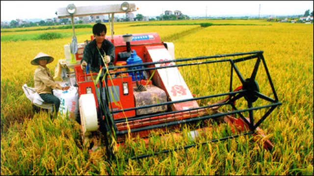 Kinh tế Việt Nam 6 tháng đầu năm: Nông nghiệp là trụ đỡ, thị trường nội địa là điểm tựa - Ảnh 3.