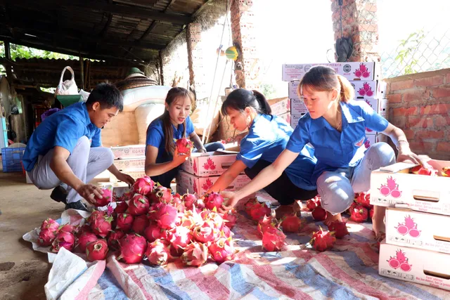 10 tấn thanh long Việt lên đường chinh phục thị trường Nga - Ảnh 1.