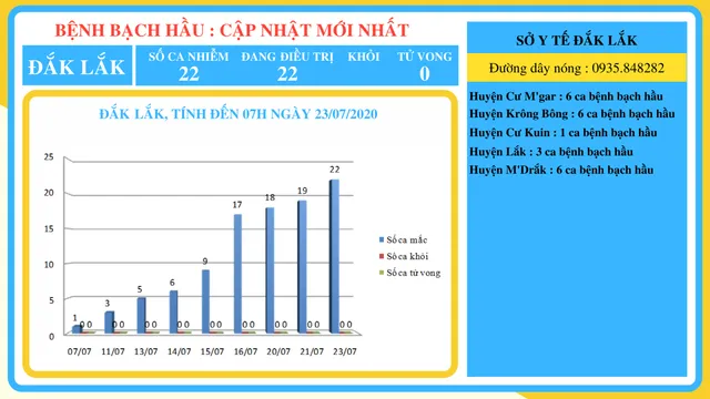 Phát hiện thêm 4 ca mắc bạch hầu tại Đắk Lắk và Đắk Nông - Ảnh 1.