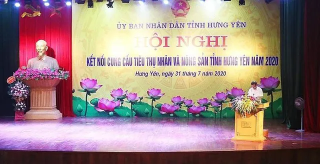 Kết nối cung cầu tiêu thụ nhãn và nông sản tại Hưng Yên - Ảnh 1.