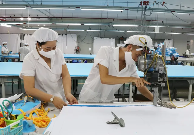 Hôm nay (1/8), EVFTA chính thức có hiệu lực, cao tốc đã mở, cơ hội lớn, thách thức nhiều - Ảnh 4. Hôm nay (1/8), EVFTA chính thức có hiệu lực, cao tốc đã mở, cơ hội lớn, thách thức nhiều - Ảnh 4.