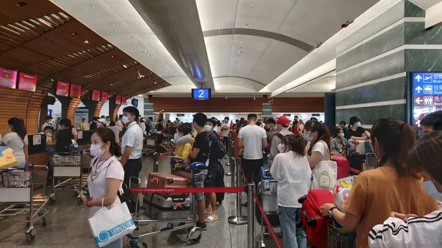 Hơn 240 công dân Việt Nam từ Đài Loan (Trung Quốc) về nước an toàn - Ảnh 1.