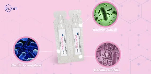 Sự thật về tác dụng của 3 chủng lợi khuẩn  Bacillus subtilis, Bacillus coagulans và Bacillus clausii - Ảnh 2.