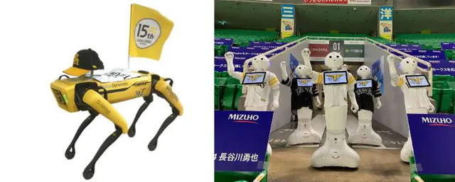 Bóng chày Nhật Bản mùa COVID-19: Khi robot thay thế cổ động viên - Ảnh 1.