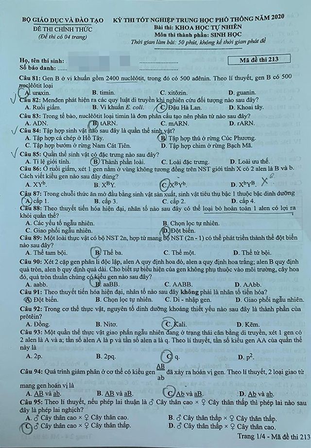 Đề thi chính thức môn Sinh học, bài thi Khoa học tự nhiên của kỳ thi tốt nghiệp THPT 2020 - Ảnh 1.