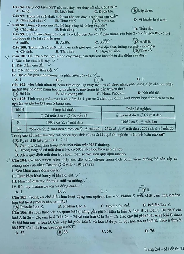 Đề thi chính thức môn Sinh học, bài thi Khoa học tự nhiên của kỳ thi tốt nghiệp THPT 2020 - Ảnh 2.