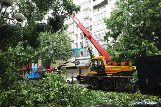 Bão Mekkhala đổ bộ vào miền Đông Trung Quốc, gây mưa to gió lớn - Ảnh 4.