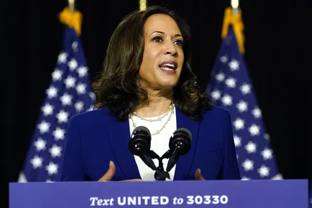 Người Ấn tự hào khi bà Kamala Harris trở thành ứng cử viên Phó Tổng thống tại Mỹ - Ảnh 1.