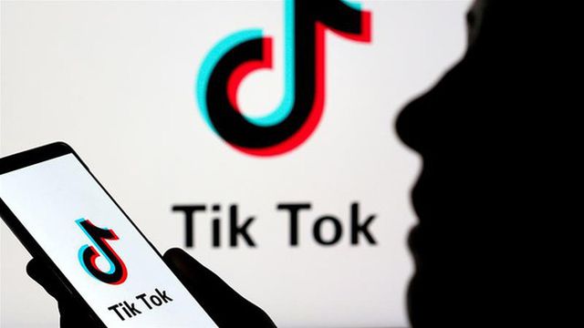 Tiktok bị nhiều chính phủ “quay lưng” - Ảnh 1.